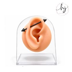 2-Piece Barbell Earrings Set – Stylish Piercing Jewelry - Image 4